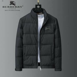 Picture of Burberry Down Jackets _SKUBurberryM-3XL25cn1018697